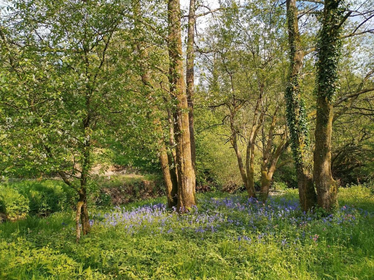Hotel Oak Tree Farm Llanfynydd Esterno foto