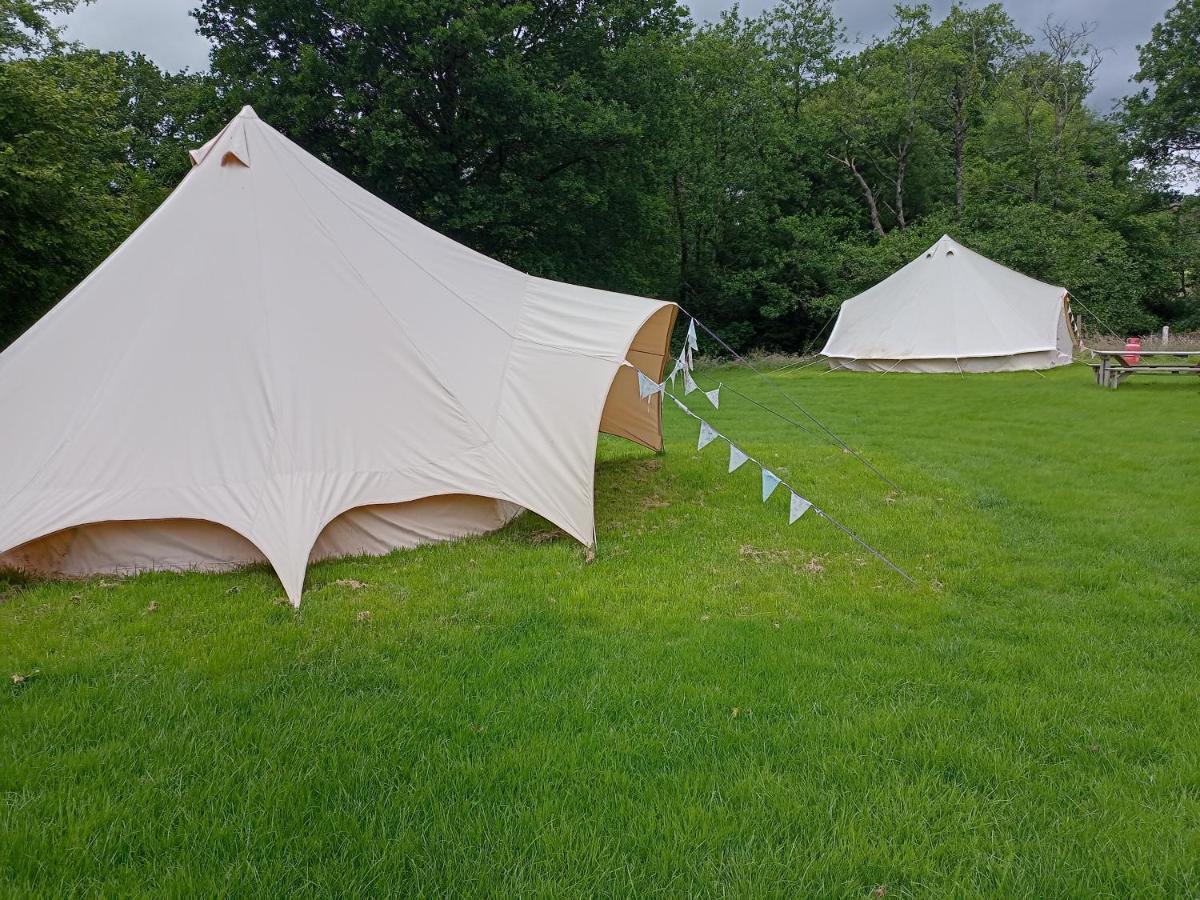Hotel Oak Tree Farm Llanfynydd Esterno foto