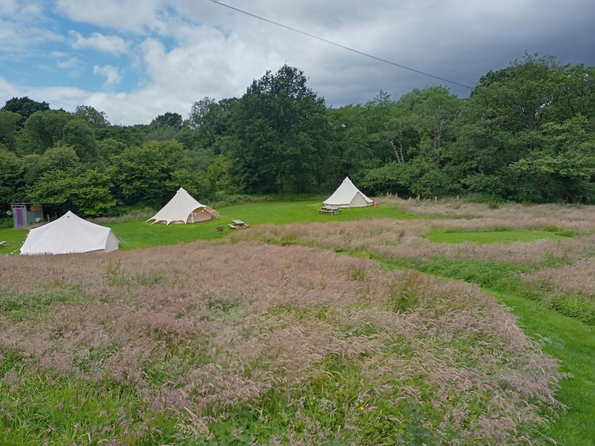 Hotel Oak Tree Farm Llanfynydd Esterno foto