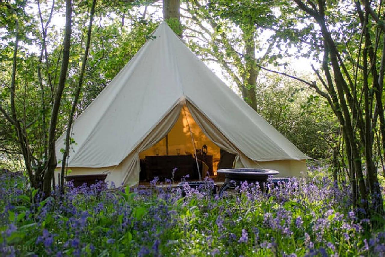 Hotel Oak Tree Farm Llanfynydd Esterno foto