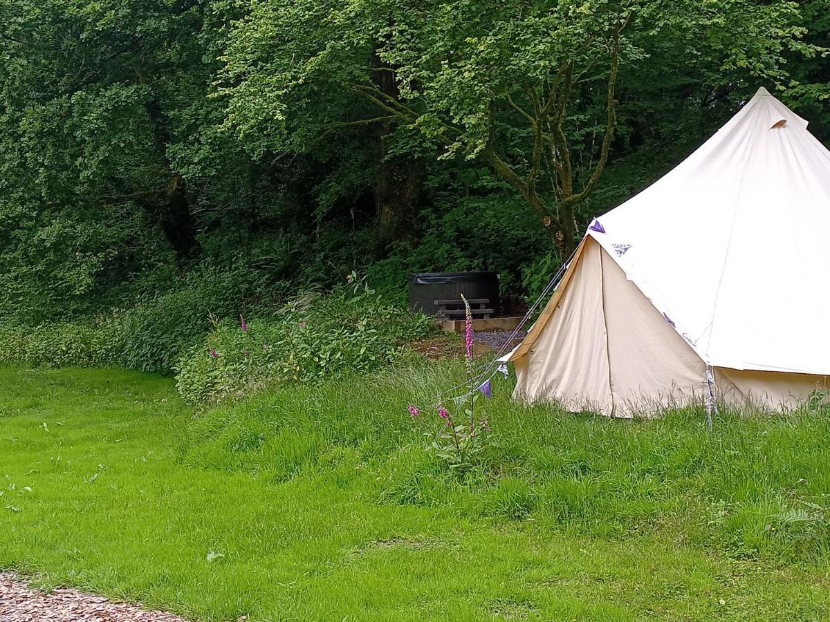 Hotel Oak Tree Farm Llanfynydd Esterno foto