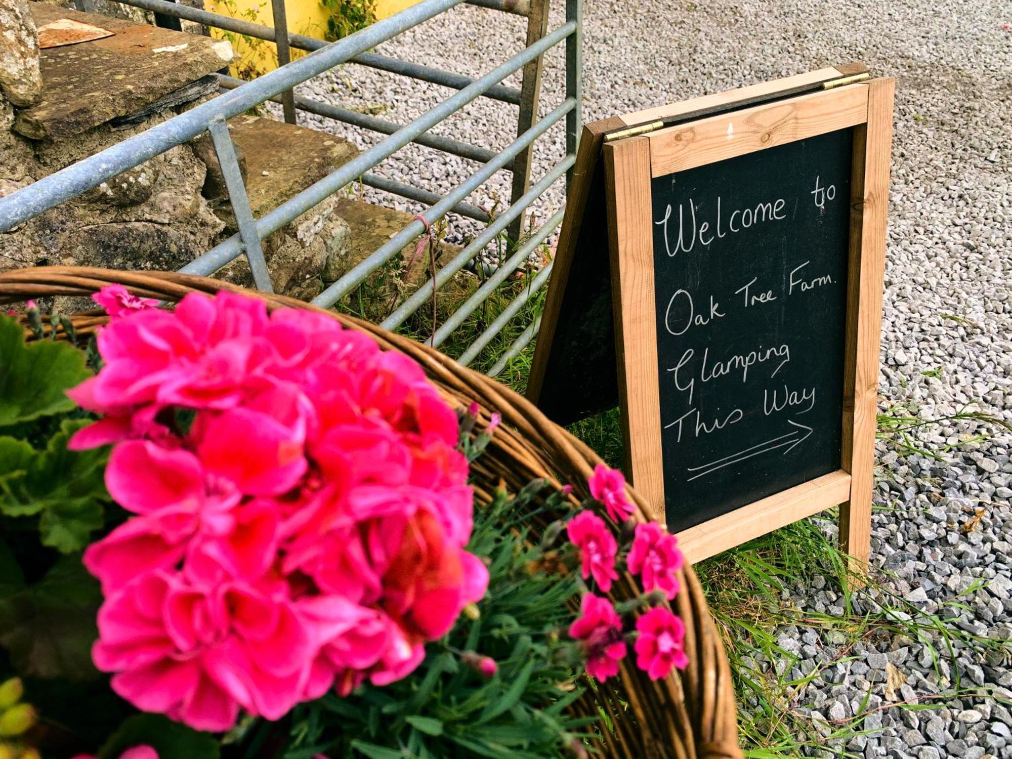 Hotel Oak Tree Farm Llanfynydd Esterno foto