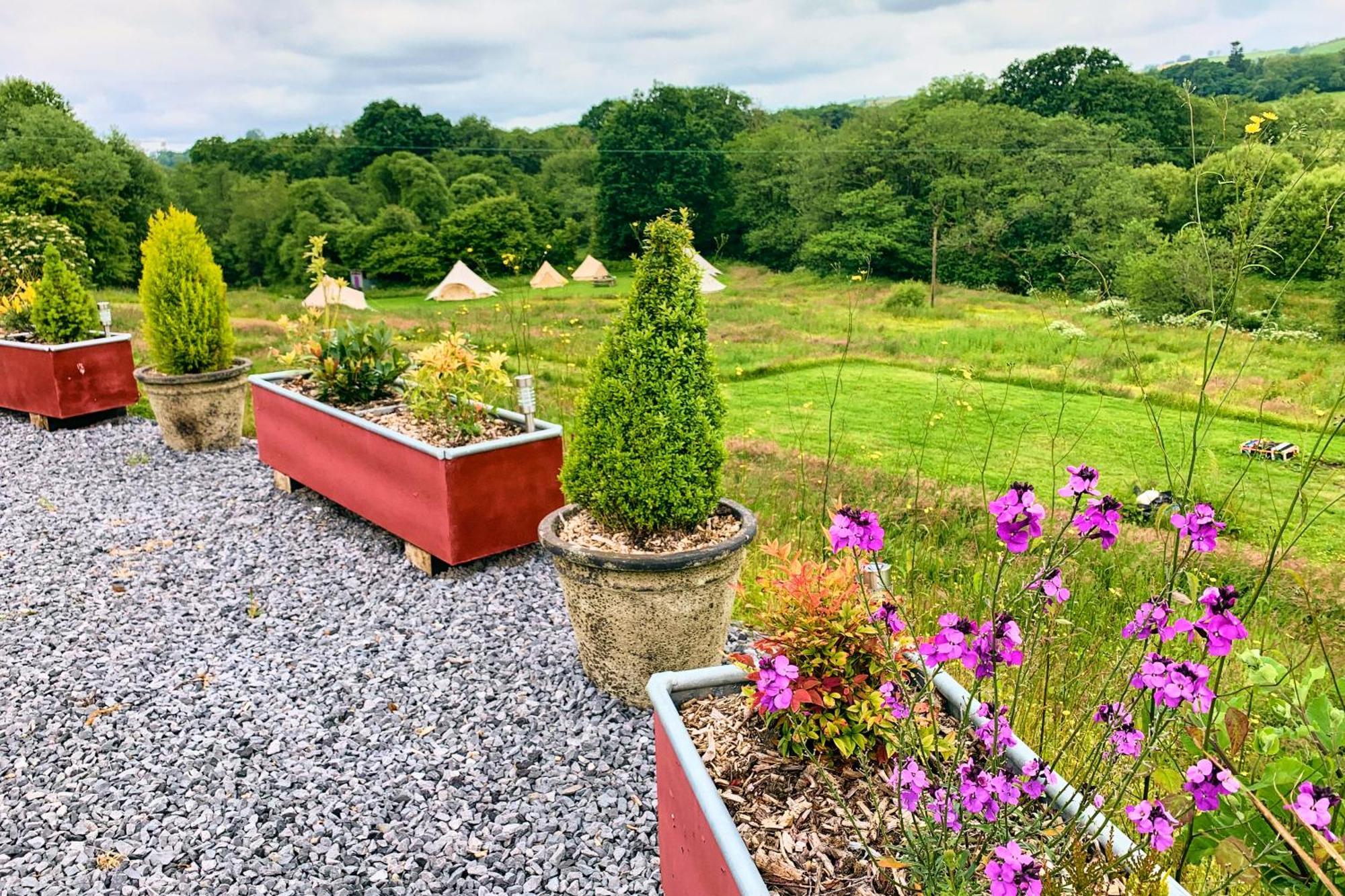 Hotel Oak Tree Farm Llanfynydd Esterno foto